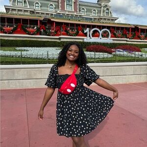 Emerson Poplin Puff Sleeve Mini Dress